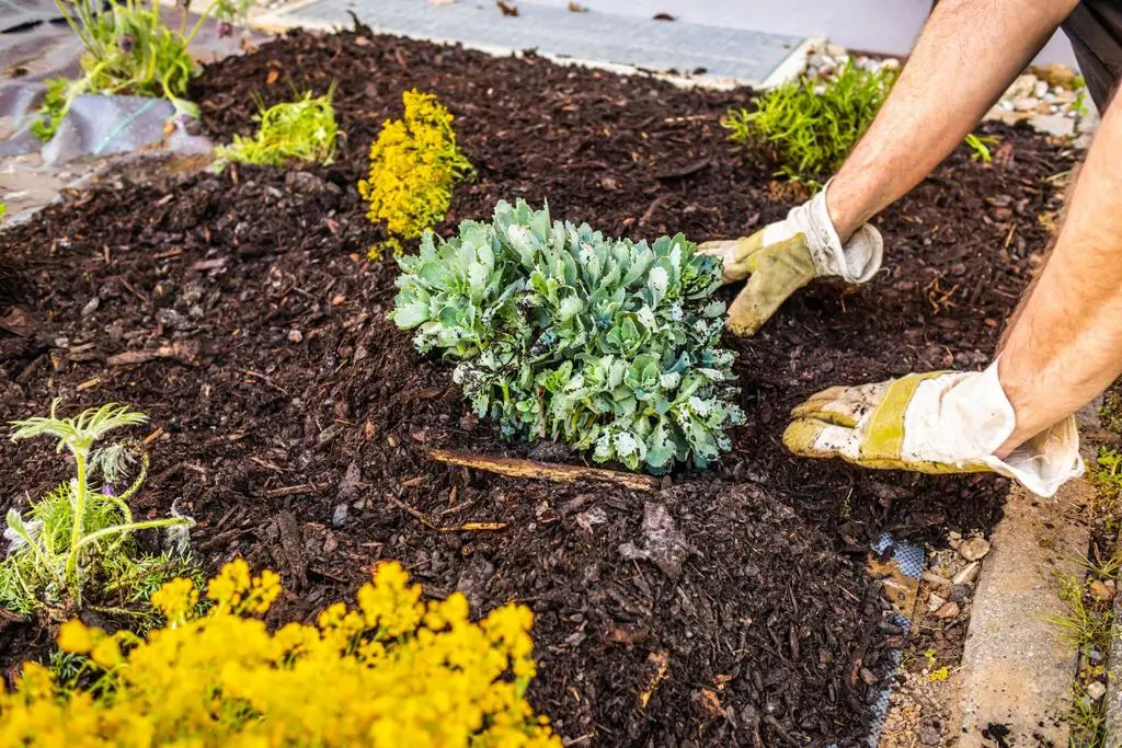 Bed care & Mulching - JOHNATHAN'S LANDSCAPING CORP