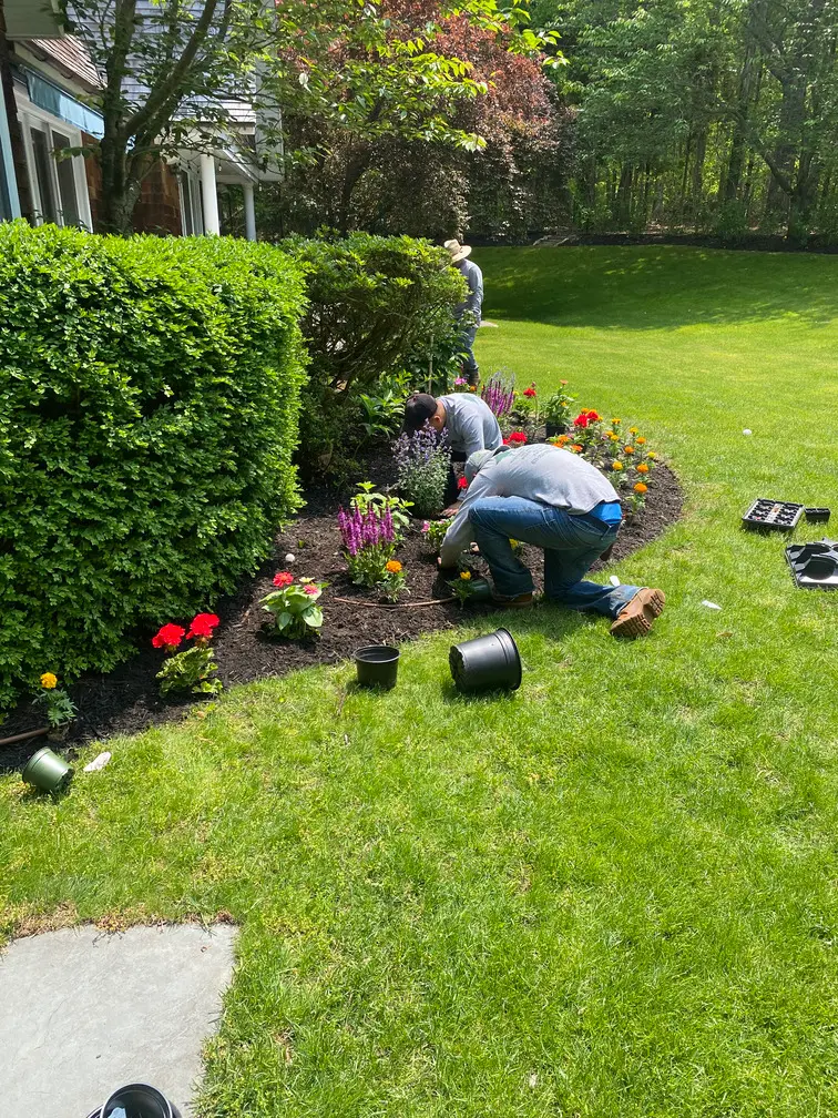 Planting - JOHNATHAN'S LANDSCAPING CORP