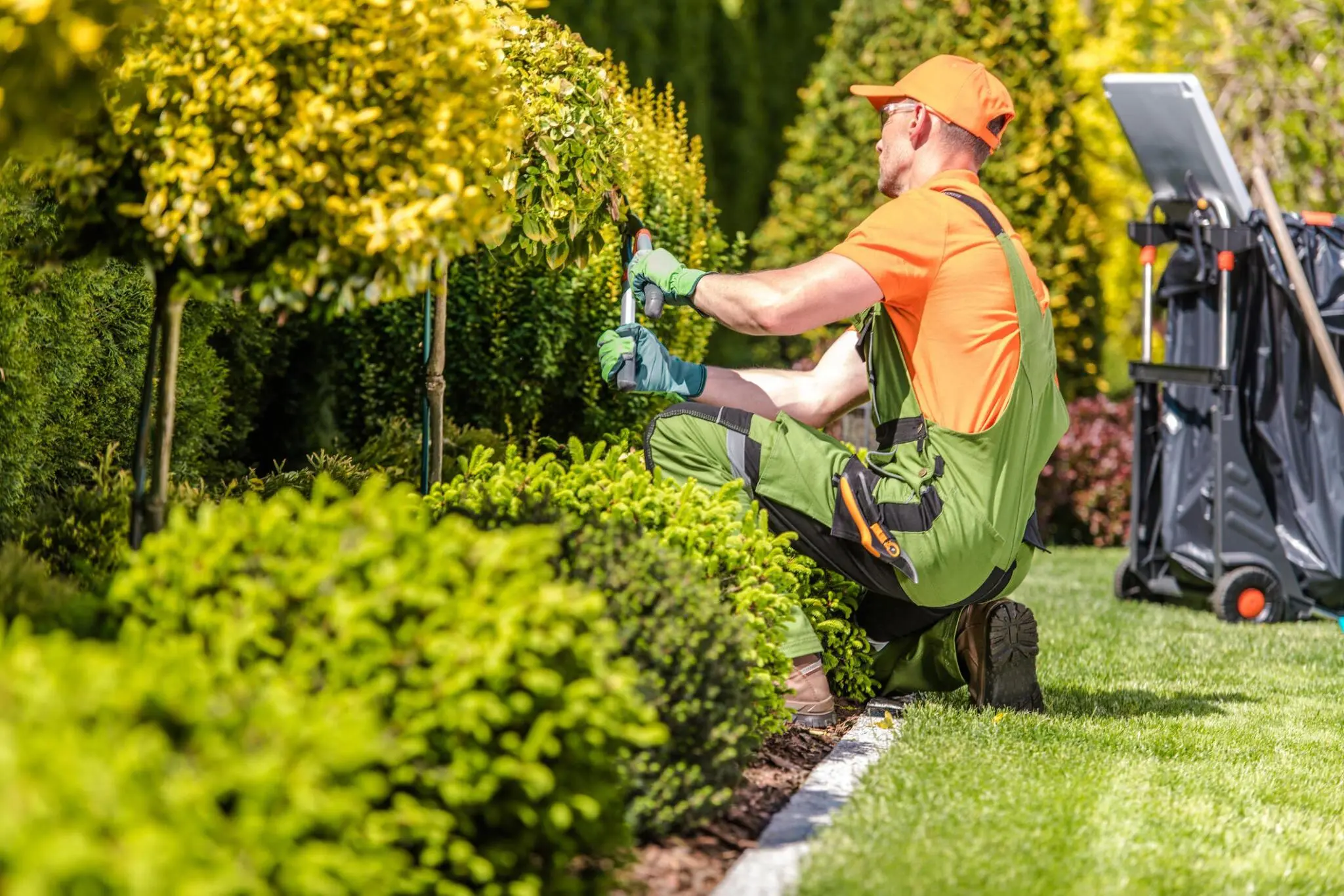 Maintenance in Hampton Bays, NY- Johnathan Landscaping Corp.